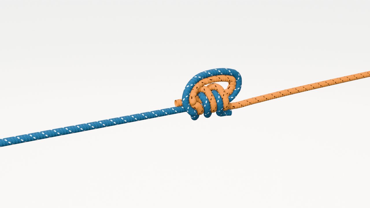 Interactive 3D model of the double surgeons knot, tied step by step