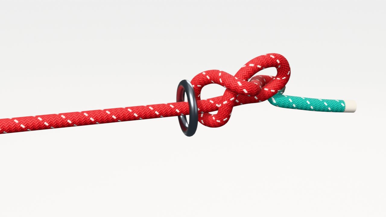 Interactive 3D model of the figure 8 knot, tied step by step