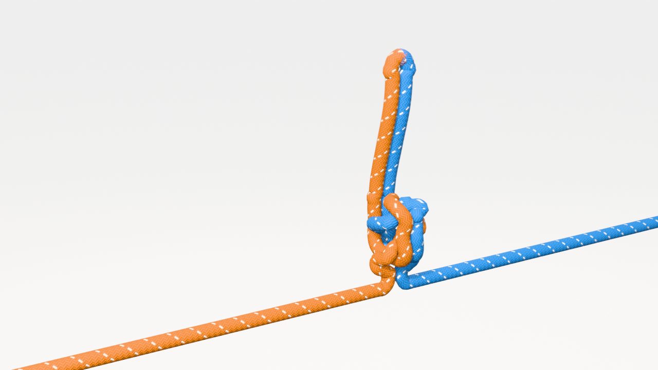 Interactive 3D model of the alpine butterfly knot, tied step by step